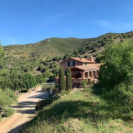 Can Ballus Bed&Breakfast Tiana Dış mekan fotoğraf