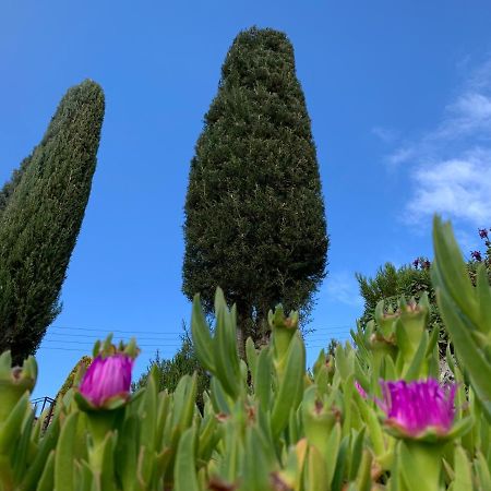 Can Ballus Bed&Breakfast Tiana Dış mekan fotoğraf