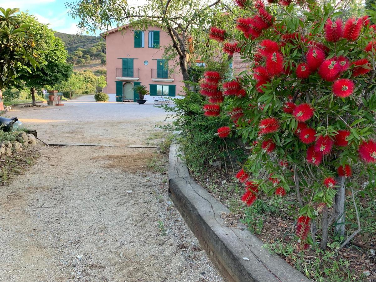 Can Ballus Bed&Breakfast Tiana Dış mekan fotoğraf