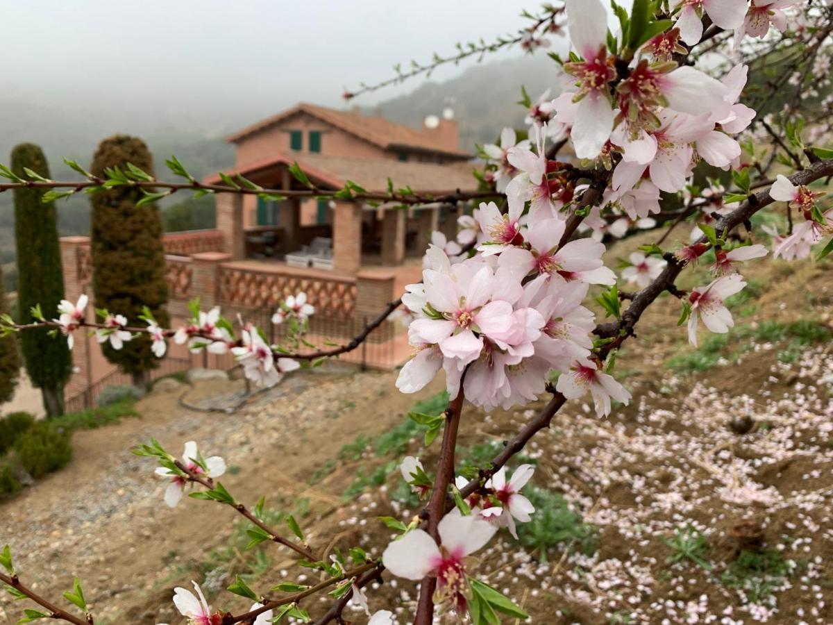 Can Ballus Bed&Breakfast Tiana Dış mekan fotoğraf